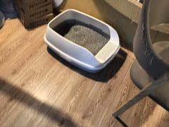 -白兔子密室(长寿路店)