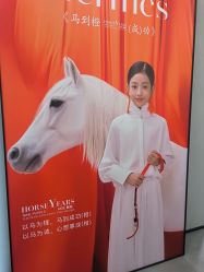 -大树儿童摄影