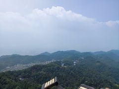 -大金鹰园