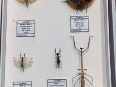 -烟台市博物馆