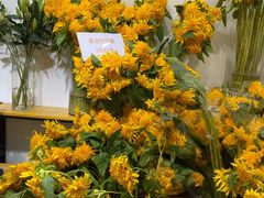 -双季花艺园艺市场(浦东店)