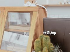 -simple hut简屋咖啡