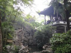 -盆景园(扬州大运河文化旅游度假区)