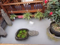 -三只耳火锅(宽窄巷子店)