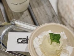 椰子波波冰淇淋-cab意式gelato冰淇淋