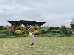 -上海长兴岛郊野公园