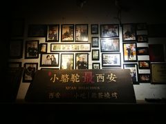 -福苗小骆驼烧烤(莲湖路店)