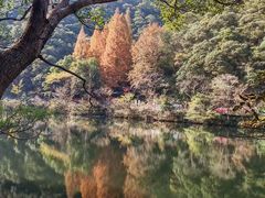 -宁海森林温泉