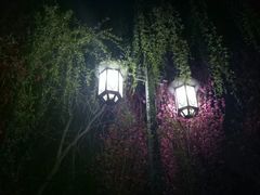 -贵阳市花溪国家城市湿地公园