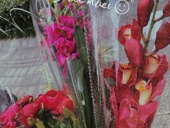 -园里火锅(仁和新城店)