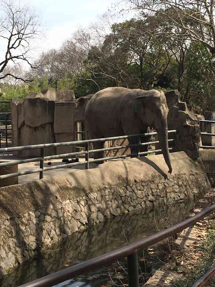上海动物园-"不错,亲子乐园,想起小时候的西郊公园之行.
