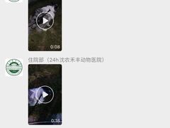 -派美特宠物医院·核磁CT·骨科肿瘤·疑难转诊(沈农禾丰店)