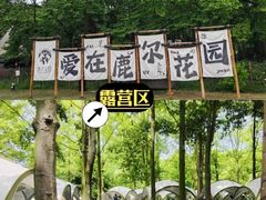 -老鼎万春卤菜(五代传承创始老店)