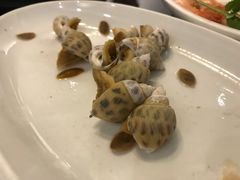 东风螺-大厝宅海鲜馆