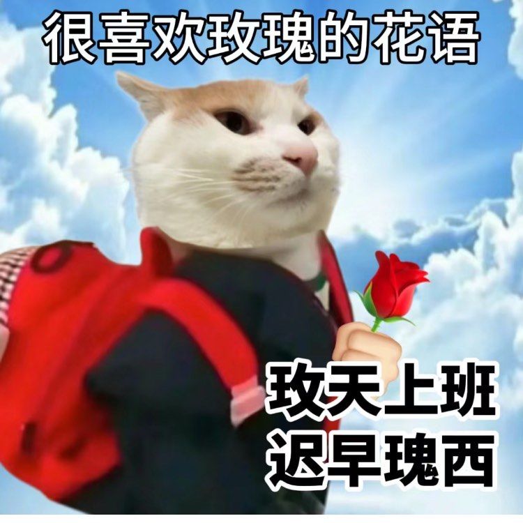 猫猫花语表情包.又是发疯的一天.