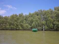 -东寨港红树林旅游区