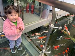 -贵阳高新惠诚食品有限公司