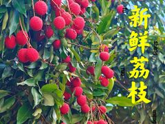 -十八重溪