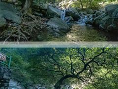 -少华山国家森林公园
