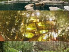 -融汇温泉