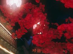 -探花·意境江南菜·唐伯虎文化体验店·松鼠桂鱼(观前店)