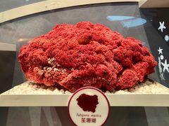 -中国湿地博物馆