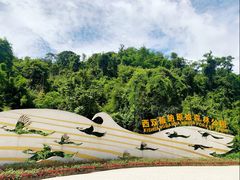 -西双版纳原始森林公园