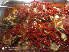 麻辣诱惑烤鱼-鱼酷活鱼烤鱼(信息城店)