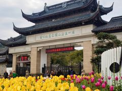 -苏州上方山国家森林公园