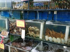 水产区-蚝专家(北滘店)