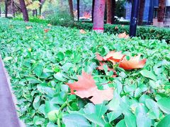 -陕西师范大学(雁塔校区)
