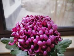 -汇龙潭