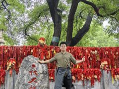 -大槐树寻根祭祖园