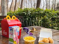 -合肥滨湖国家森林公园