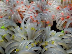 -玉雕湾国际玉城-石佛寺