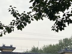 -老磁器口豆汁店(天坛店)