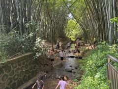 -田心森林公园