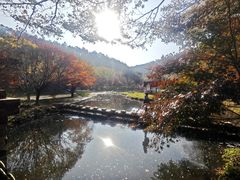 -田野绿世界