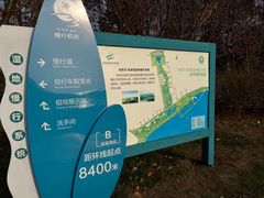 -贡湖湾湿地公园
