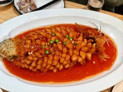 -丁老爷子苏香圆