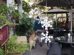 -火车头法国西餐厅