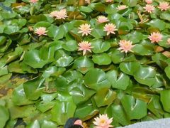 -江南大学(蠡湖校区)
