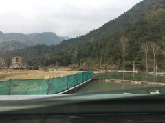 -花岩国家森林公园