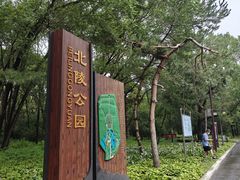 -北陵公园