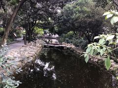 -成都市活水公园