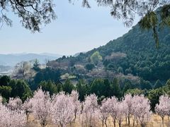 -四门塔风景区