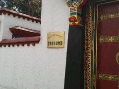 -罗布林卡