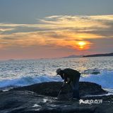 这样的赶海应该没有人不喜欢吧(2)图文篇🥰🥰🥰