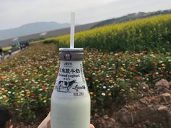 -光明小镇欢乐田园