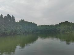 -东湖落雁景区